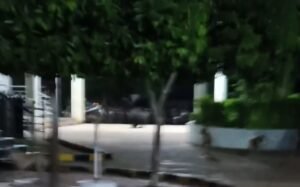 जिला अस्पताल में घुस गया भालू 1 Screenshot 2026 08 27 15 13 17 25 6012fa4d4ddec268fc5c7112cbb265e7