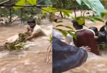 जशपुर के वाटरफॉल में बड़ा हादसा टला : तेज बहाव में फंसे 7 पर्यटक, देखिए VIDEO जीवन के लिए कैसे कर रहे संघर्ष