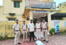 सूरजपुर में 5 किलो गांजा के साथ आरोपी गिरफ्तार, 2.50 लाख का माल जब्त; बिना नंबर बाइक से कर रहा था परिवहन