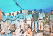 Dhamtari News: घर में चल रही थी अवैध शराब की भट्टी, नीले ड्रम से महुआ शराब बरामद; एक आरोपी गिरफ्तार