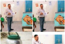 बिस्तर में सो रही 9 साल की मासूम को जहरीले सांप ने डसा,अस्पताल पहुंचने से पहले मौत, चौथी कक्षा की छात्रा थी सुधा साहू