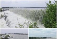 दो दिन की मूसलाधार बारिश से छलक उठा तांदुला जलाशय,ओवरफ्लो होते ही बदला नजारा, खूबसूरत तस्वीरें बनीं आकर्षण का केंद्र. Video