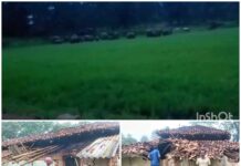 30 हाथियों के झुंड से पसान क्षेत्र में दहशत,दंतैल ने ग्रामीण का कच्चा मकान तोड़ा, बाल-बाल बचा परिवार