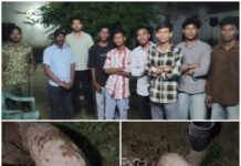 रात के अँधेरे में घर के आंगन में पहुंचा दुर्लभ पैंगोलिन,वन विभाग ने सुरक्षित रेस्क्यू कर प्राकृतिक रहवास में छोड़ा