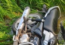 तेज रफ्तार मोटरसाइकिल पेड़ से टकराई, दो नाबालिग युवकों की मौत
