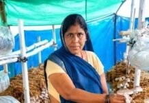 सफलता की कहानी,आत्मनिर्भरता की नई मिसाल- खेतों से मशरूम उत्पादन तक मिथिला दीदी ने लिखी सफलता की नई कहानी