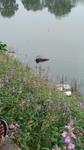 IMG 20260908 WA0065