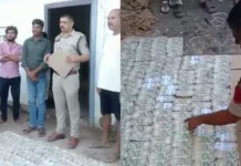 फर्जी NOC से खैर लकड़ी का अवैध परिवहन, आरोपी के घर से 81 लाख कैश बरामद