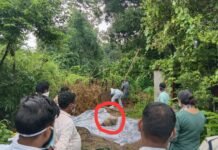 रक्षाबंधन के बाद गायब हुई महिला, 23 दिन बाद घर के टैंक में मिला शव! घर से उठी दुर्गंध ने खोला राज, सेप्टिक टैंक में मिली लाश पति पर गंभीर शक, वारदात के बाद से फरार… पुलिस ने शुरू की तलाश