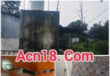 कोरबा के फार्म हाउस में चोरों का धावा! CCTV, TV-फ्रिज ही नहीं 6 डॉग पप्पी भी ले उड़े चोर