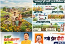 आधुनिक और नगदी फसलों की खेती ने बदली छत्तीसगढ़ के किसानों की तकदीर,छत्तीसगढ़ में खेती ने पकड़ी नई रफ्तार, खेत से बाजार तक बदल रही तस्वीर
