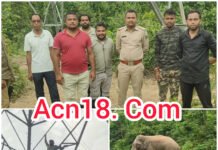कोरबा में दंतैल का खौफ! टावर लाइन पर चढ़कर जान बचाते रहे सफाई कर्मचारी, करीब पहुंचा लोनर हाथी, वन अमले ने किया सुरक्षित रेस्क्यू