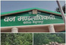 12 हाथियों के दल ने जमाया डेरा, ग्रामीणों में दहशत कई गांवों की ओर बढ़ने की आशंका, वन विभाग अलर्ट,रात में हाथियों की दस्तक का खतरा, लोगों को सावधान रहने की अपील