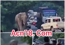 चोटिया में हाईवे पर अचानक पहुंचा लोनर हाथी, मची भगदड़, सेल्फी और वीडियो बनाने पहुंचे लोगों पर दौड़ा हाथी, जान बचाकर भागे लोग, वन विभाग ने जंगल की ओर खदेड़ा. Video