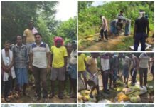 नगरी में दंतैल हाथी की दस्तक से दहशत! पीपरछेड़ी-कमारपारा में हाई अलर्ट, वन विभाग ने कराई मुनादी,जंगल जाने पर रोक, ग्रामीणों को सतर्क रहने की अपील