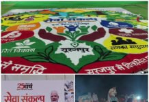 आशीर्वाद के दीयों से रोशन हुआ सेवा संकल्प, जनभागीदारी से विकसित भारत का संकल्प