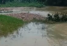 दो लोगों की पानी में डूबने से मौत, 88 वर्षीय बुजुर्ग महिला तालाब में डूबी, 21 वर्षीय युवक का नाले में मिला शव,जांच में जुटी पुलिस