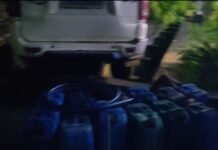 कटघोरा बाईपास में डीजल चोरों का आतंक: ट्रेलर से डीजल चोरी कर भाग रहे थे चोर, चालक ने स्कॉर्पियो को मारी जोरदार टक्कर, LIVE वीडियो आया सामने