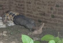कटघोरा के आंची दादर में कमरे के अंदर मिला युवक का शव, गांव में सनसनी, पुलिस जांच में जुटी