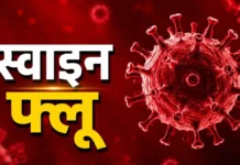 छत्तीसगढ़ में स्वाइन फ्लू ने बढ़ाई चिंता : संक्रमितों का आंकड़ा 170 के करीब, रायपुर सबसे ज्यादा प्रभावित