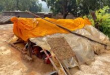 हाथियों का ऐसा खौफ कि रात में घर छोड़ छतों पर रात गुजार रहे ग्रामीण, 40 से ज्यादा हाथियों की दस्तक से दहशत