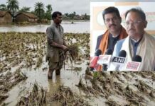किसानों के हित में सीएम साय का बड़ा फैसला, फसल नुकसान पर आकलन के बाद मिलेगा मुआवजा