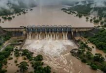 छत्तीसगढ़ में भारी बारिश का दौर… 46 में से 25 जलाशयों में 90 फीसदी से ज्यादा पानी, 7 लबालब