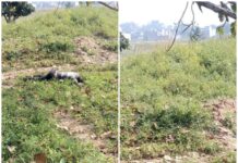 बंधाई तालाब के पास मिली युवक की लाश, चांपा में मचा हड़कंप! हत्या या आत्महत्या? रहस्यमयी मौत ने खड़े किए कई सवाल, पुलिस जांच में जुटी