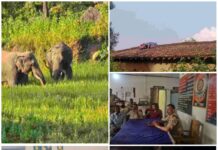 पसान में 52 हाथियों का खौफ! हॉस्टल खाली, छानी में चारपाई… रातभर पहरेदारी को मजबूर ग्रामीण!