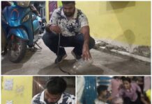 एक्टिवा के वाइजर में छिपा मिला जहरीला कॉमन करैत, मचा हड़कंप! RCRS टीम ने किया सुरक्षित रेस्क्यू, समय रहते नजर पड़ने से टला बड़ा हादसा!