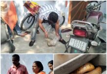 बाइक की सीट के अंदर छिपा मिला खूबसूरत पीला धामन सांप, देखकर परिवार के उड़े होश! नोवा नेचर की टीम ने किया सुरक्षित रेस्क्यू, जंगल में छोड़ा गया विषहीन सांप।