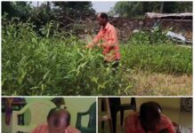पटवारी की कथित गड़बड़ी से 20 साल से परेशान गरीब किसान!अपनी ही जमीन के हक के लिए दफ्तरों के चक्कर काटने को मजबूर. Video