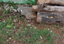 मुख्यमंत्री हेल्पलाइन-1076 का कमाल एक फोन कॉल से जशपुर के तपकरा में बहाल हुई जलापूर्ति,200 परिवारों को मिली राहत