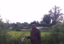 मुख्यमंत्री हेल्पलाइन 1076 से हो रहा समस्याओं का त्वरित समाधान