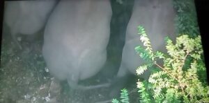 IMG 20261020 WA0189