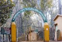 बेलगहना क्षेत्र में बाघ की दबे पांव दस्तक, ग्रामीणों में दहशत; अलर्ट पर ATR टीम