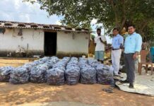 बैंगन की उन्नत खेती से किसान हरिहर साय ने बढ़ाई आमदनी