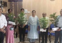 सेवा की कहानी : वर्षों की जिम्मेदारी को सम्मान, पौधे के साथ मिली नई शुरुआत