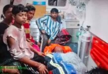 महासमुंद में तेंदुए का आतंक, घर में घुसकर एक ही परिवार के आठ लोगों को बनाया शिकार; इलाके में दहशत